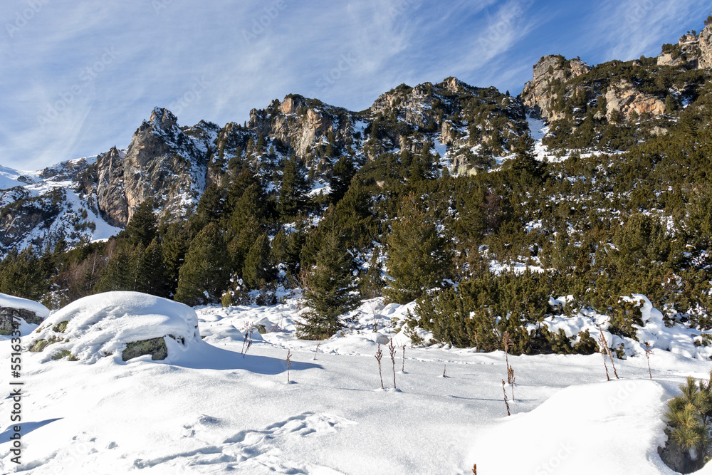 Fototapeta premium Winter landscape of Rila Mountain near Malyovitsa peak, Bulgaria