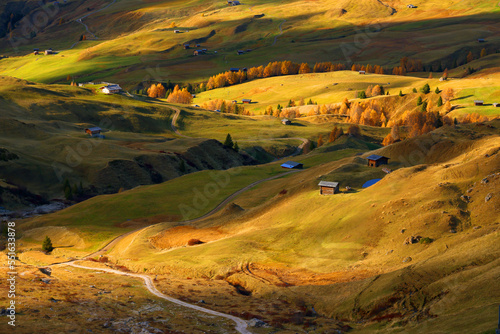 Alpine fields of Seiser Alm (Alpe di Siusi) in autumn colours. Trentino Alto Adige, South Tyrol, Italy, Europe