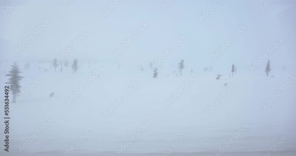 Snowy arctic taiga landscape travel Snowy arctic taiga landscape travel