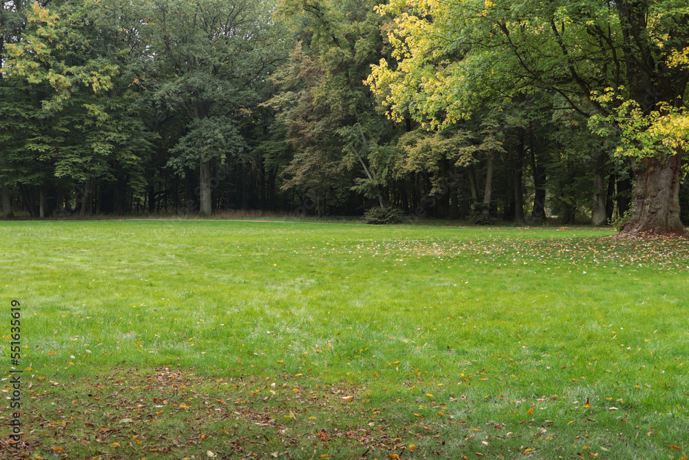 Beautiful view of public city park with green grass and dry leaves in autumn Beautiful view of public city park with green grass and dry leaves in autumn