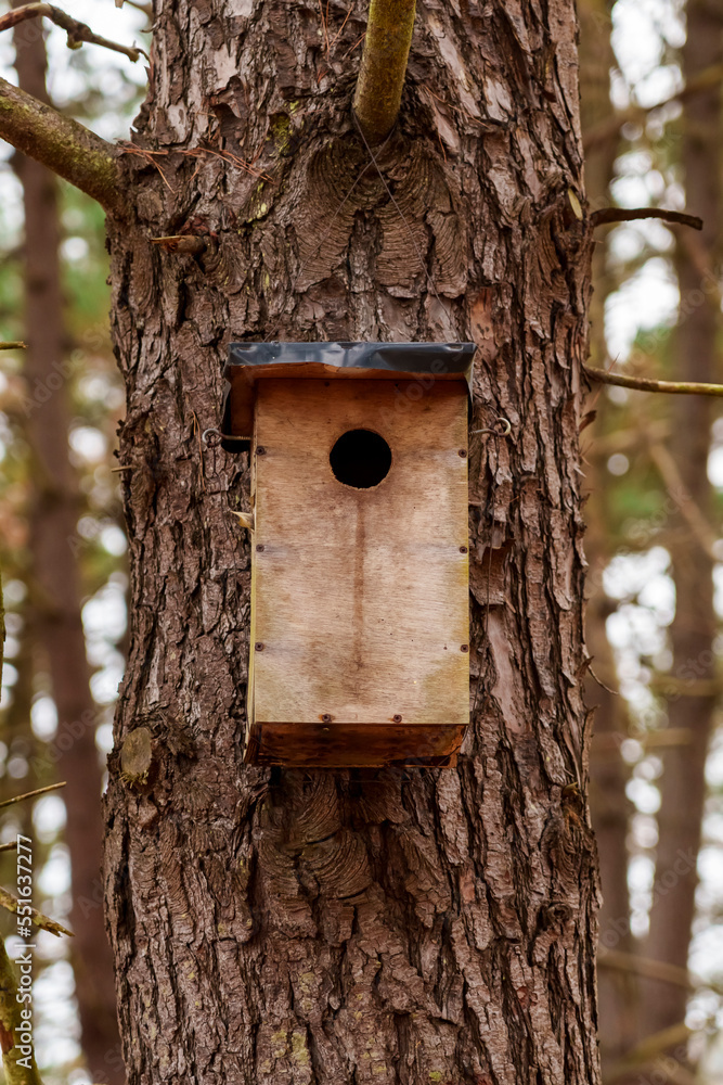Wooden homemade birdhouse in the forest on a pine tree trunk Wooden homemade birdhouse in the forest on a pine tree trunk