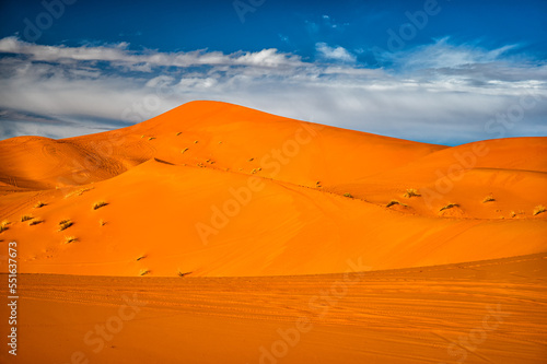 Sahara Desert sand dunes background. Popular travel destination  Erg Chebbi  Sahara Desert  Morocco.