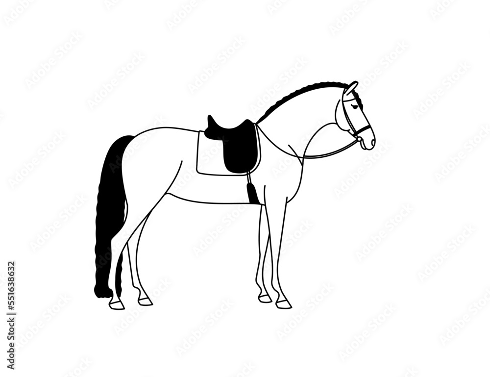 Obraz premium Black and white vector of a horse ready for training