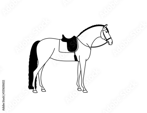 Black and white vector of a horse ready for training