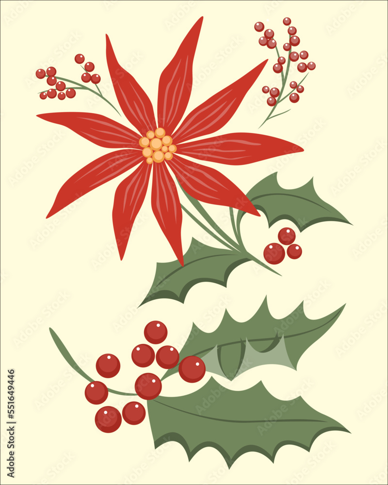 Christmas star with holly berries Christmas star with holly berries