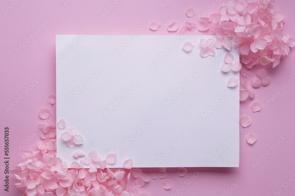 Beautiful hortensia flowers and sheet of paper on pink background, flat lay. Space for text