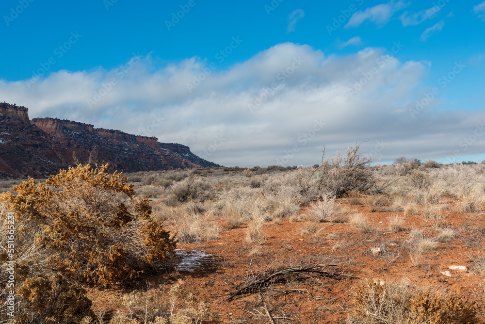 Winter Landscape at the base of the Colorado National Monument between Grand Junction and Fruita, Colorado
