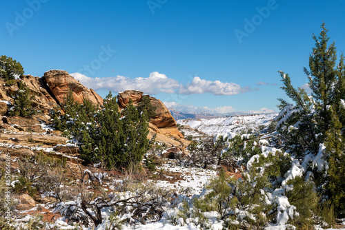 Snow at the East Entrance of the Colorado National Monument near Grand Junction, Colorado

 photo