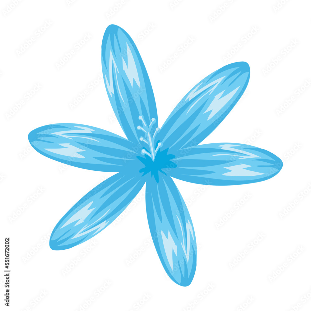 blue flower delicate