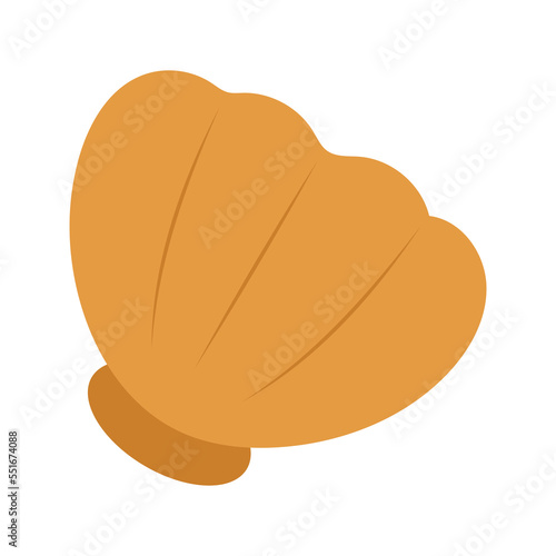 Shell kid vector illustration isolated on transparent png