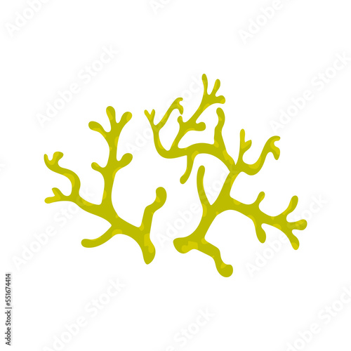 Coral reef kid vector illustration isolated on transparent png