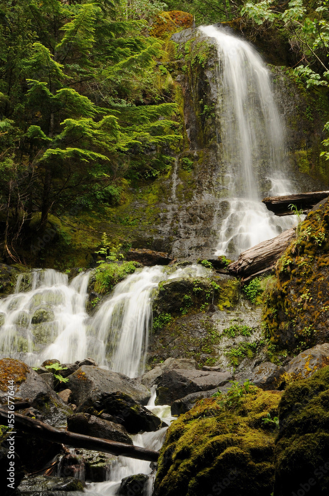 Fototapeta premium Mt. Rainier, Wa waterfall 