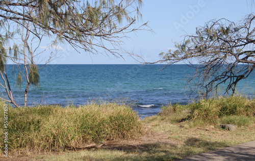 Obraz na płótnie View of the ocean at Elliott Heads in Queensland, Australia, framed by trees