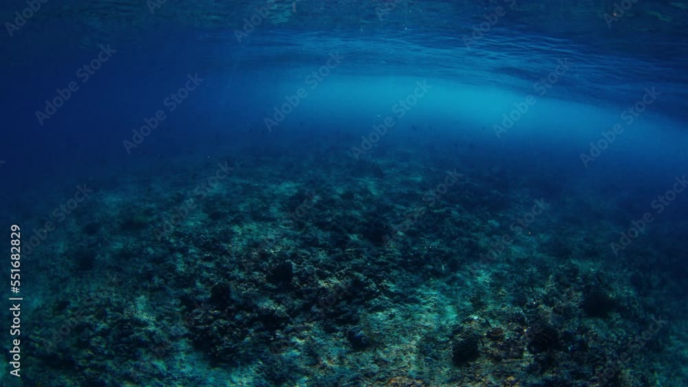 Underwater view of the coral reef in the Maldives Underwater view of the coral reef in the Maldives