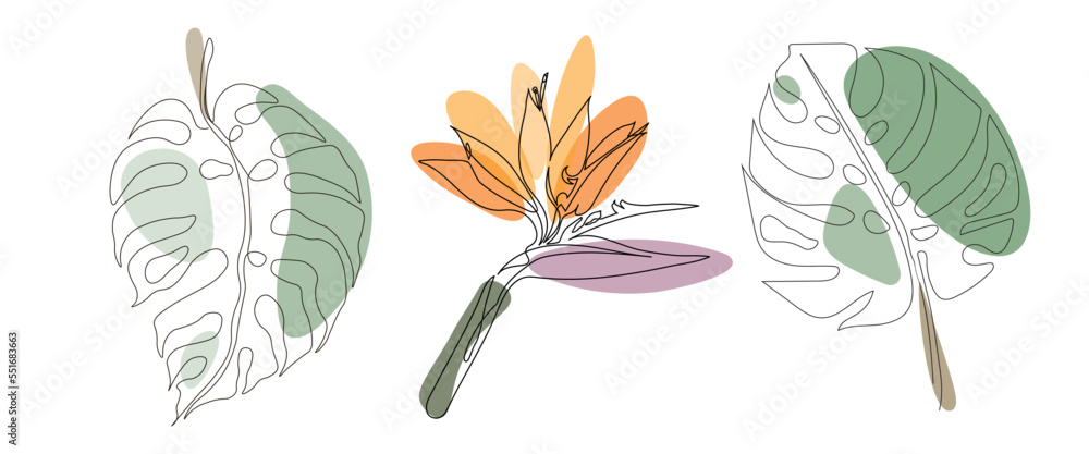 Set of continuous one line drawing of monstera leaves and paradise flower. Beautiful floral linear tropical art isolated on a white background. Vector illustration. - obrazy, fototapety, plakaty 