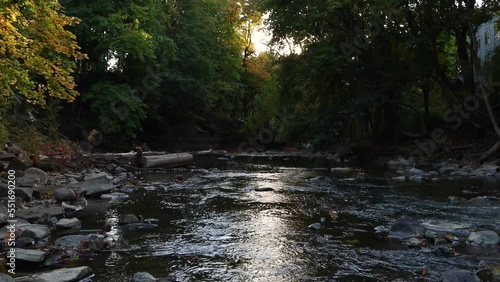 Stream in the forest at sunset