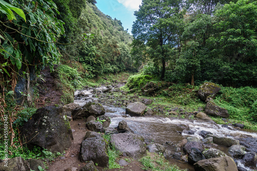 Trail view on azores portugal