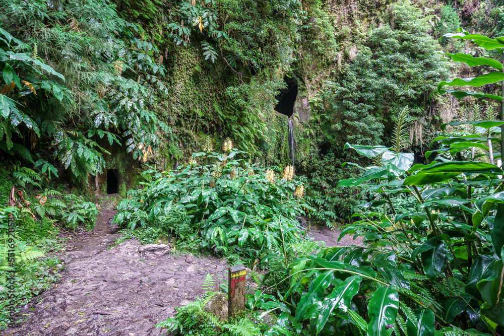 Fototapeta premium Janela do inferno trail on azores