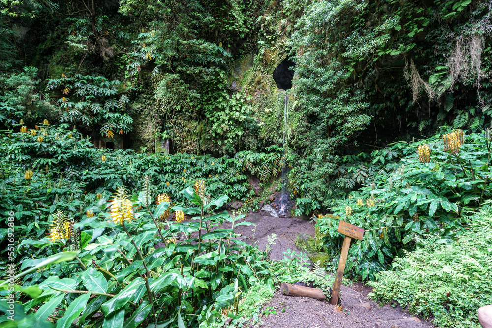 Obraz premium Janela do inferno trail on azores