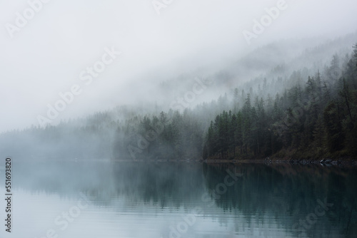 Tranquil atmospheric scenery with turquoise mountain lake and coniferous trees silhouettes in dense fog. Pure alpine lake in mystery thick fog. Calm glacial lake and forest edge in misty early morning
