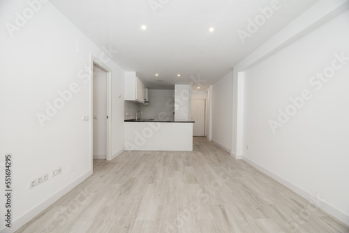 Empty living room of a house with light colored laminate flooring  white kitchen island and black worktop and integrated spotlights in the plaster ceiling