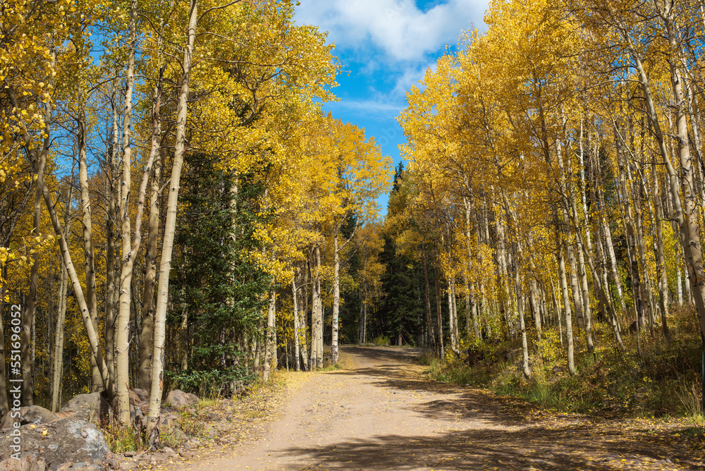 Fototapeta premium Autumn Road on the Grand Mesa in Western Colorado