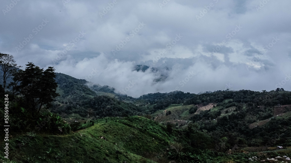 Aerial view of tropical forest with mist in the morning. Top view from drone of beautiful mountain tropical forest during winter in Thailand. Natural landscape background. Aerial view of tropical forest with mist in the morning. Top view from drone of beautiful mountain tropical forest during winter in Thailand. Natural landscape background.