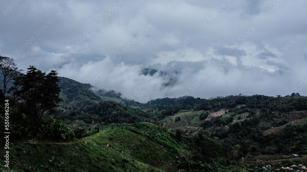 Aerial view of tropical forest with mist in the morning. Top view from drone of beautiful mountain tropical forest during winter in Thailand. Natural landscape background.