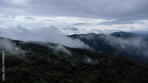 Aerial view of tropical forest with mist in the morning. Top view from drone of beautiful mountain tropical forest during winter in Thailand. Natural landscape background. © Pornpimon