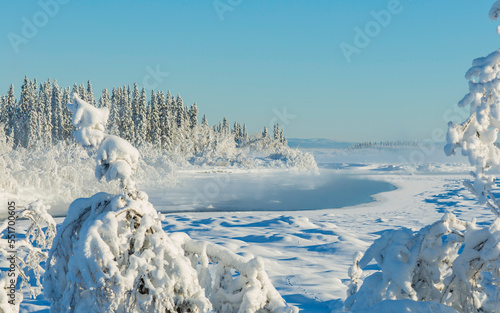 Winter Wilderness Landscape along the Tanana River, Alaska