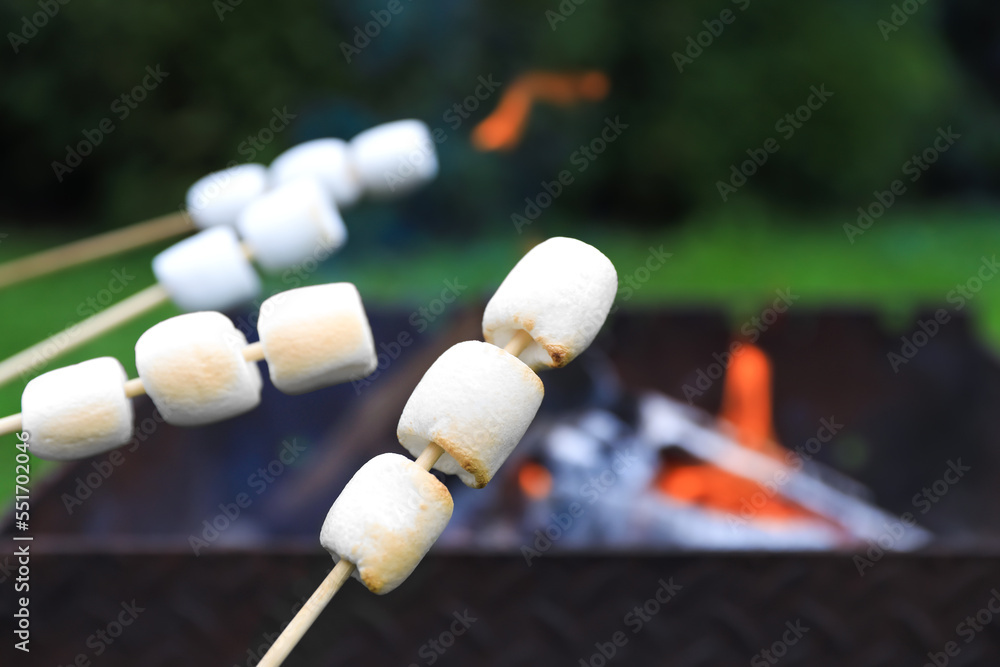 Delicious puffy marshmallows roasting over bonfire, closeup