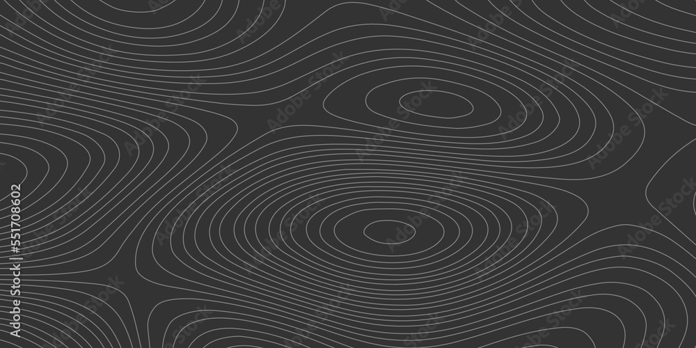 The stylized white and black abstract topographic map contour, lines Pattern background. Topographic map. Vector illustration.	