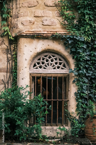 Exterior design of window traditional building style with vines on the wall
