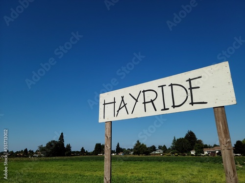 Hayride sign in pumpkin patch, side view