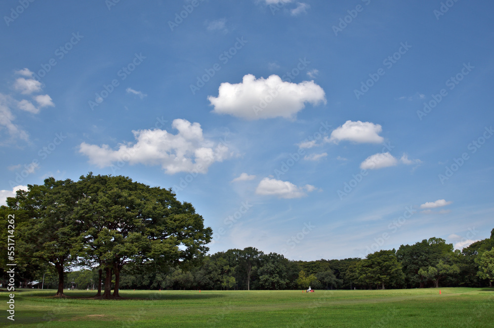 青空と雲と公園