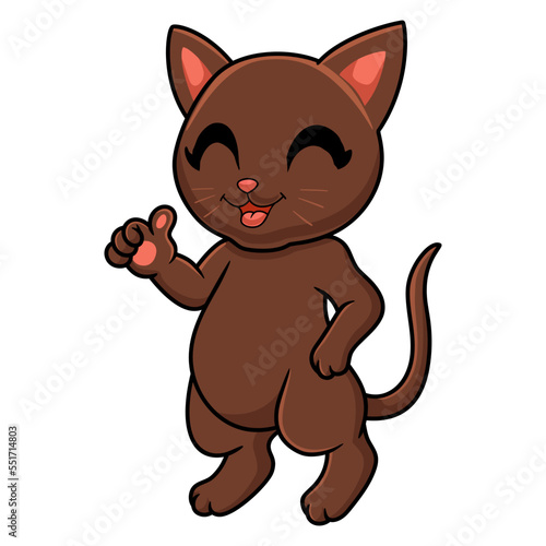 Cute havana brown cat cartoon giving thumbs up