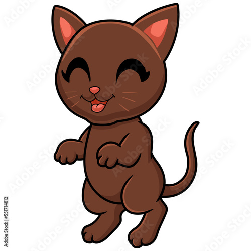 Cute havana brown cat cartoon