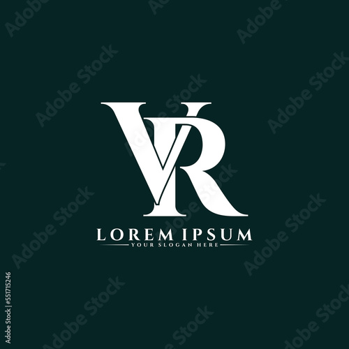 Letter VR luxury logo design vector