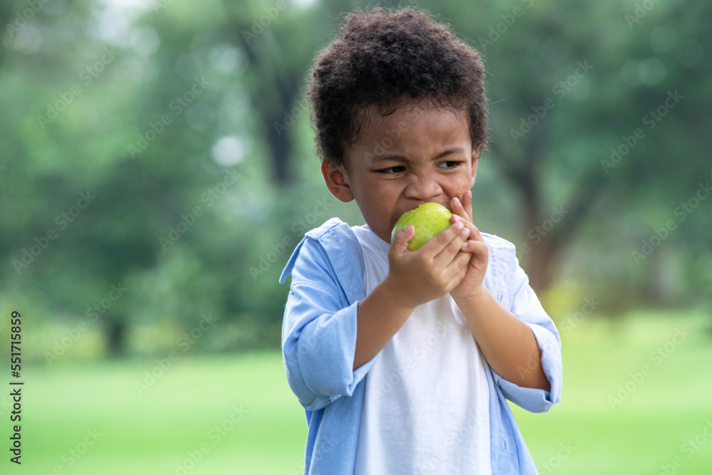 Portrait of half African half Asian 2 years old child happy to eat an apples at outdoor park, healthy fruit for children Portrait of half African half Asian 2 years old child happy to eat an apples at outdoor park, healthy fruit for children