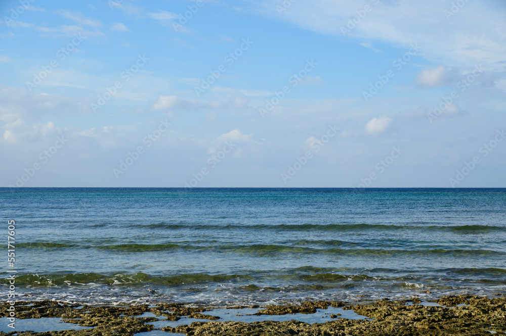 海 海