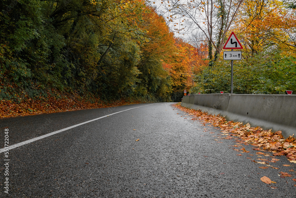 Fototapeta premium The road in the autumn forest. A country road in the autumn in the forest. Yellow and orange leaves on trees in the morning forest with a roadway. An asphalt road with fallen leaves.