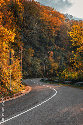 An asphalt road with fallen leaves in an autumn forest. Focus on the foreground. Highway in the mountains on an autumn day among the mountains  an empty paved road. The road in the autumn forest.