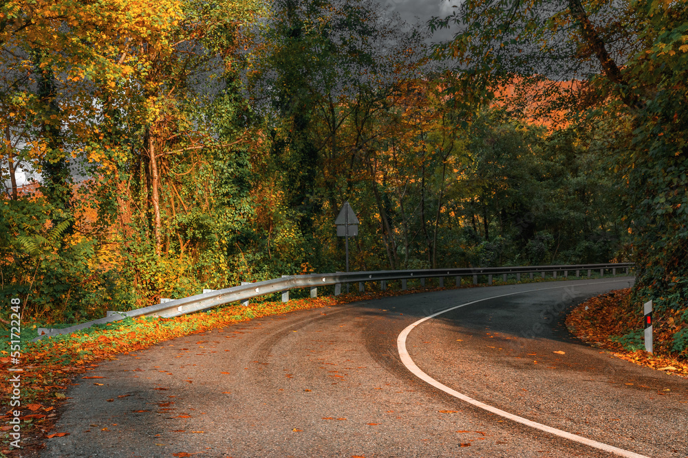 Yellow and orange leaves on trees in the morning forest with a roadway. Highway in the mountains on an autumn day among the mountains, an empty paved road. Yellow and orange leaves on trees in the morning forest with a roadway. Highway in the mountains on an autumn day among the mountains, an empty paved road.