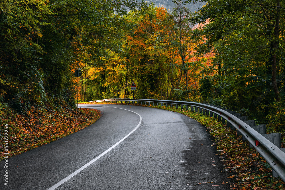 Yellow and orange leaves on trees in the morning forest with a roadway. Highway in the mountains on an autumn day among the mountains, an empty paved road. 