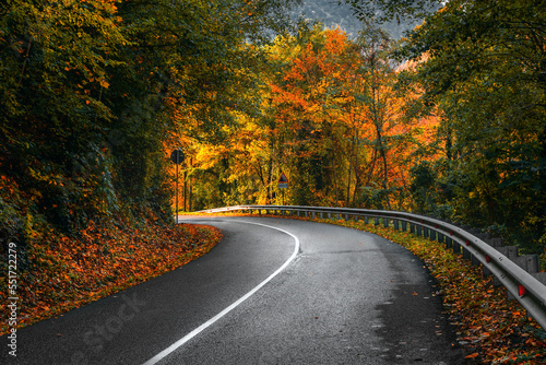 Yellow and orange leaves on trees in the morning forest with a roadway. Highway in the mountains on an autumn day among the mountains, an empty paved road. 