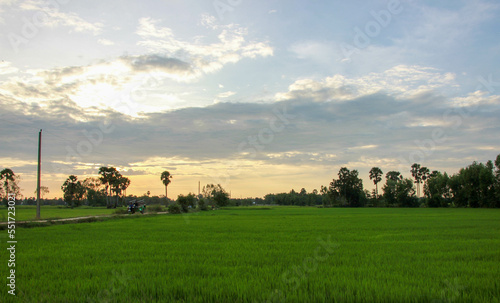 sunset over the field © Panhareach