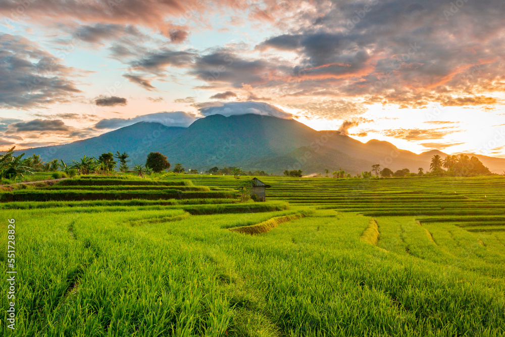 View of Indonesia in the morning, view of yellow rice fields and mountains at sunrise