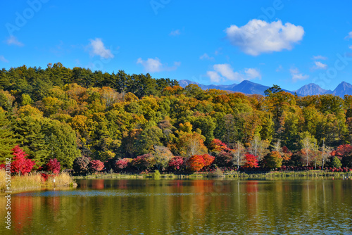 蓼科湖と紅葉 長野県