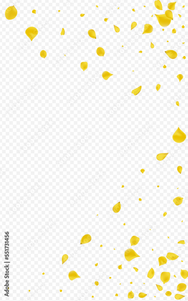 Gold Sakura Falling Vector Transparent Gold Sakura Falling Vector Transparent