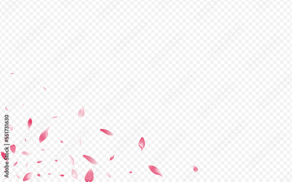 Red Bloom Vector Transparent Background. Lotus